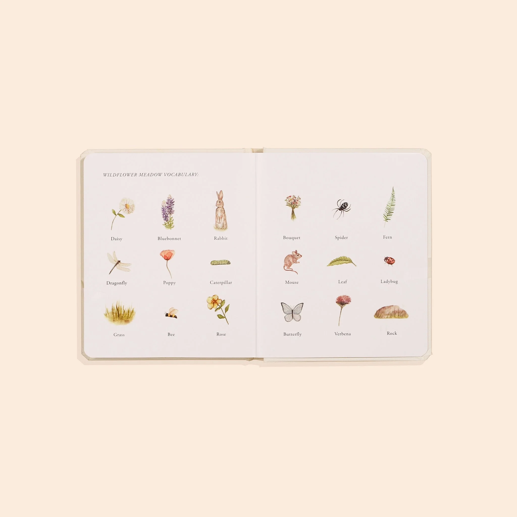 Our Little Adventures Board Book Box Set For Kids - Image 5