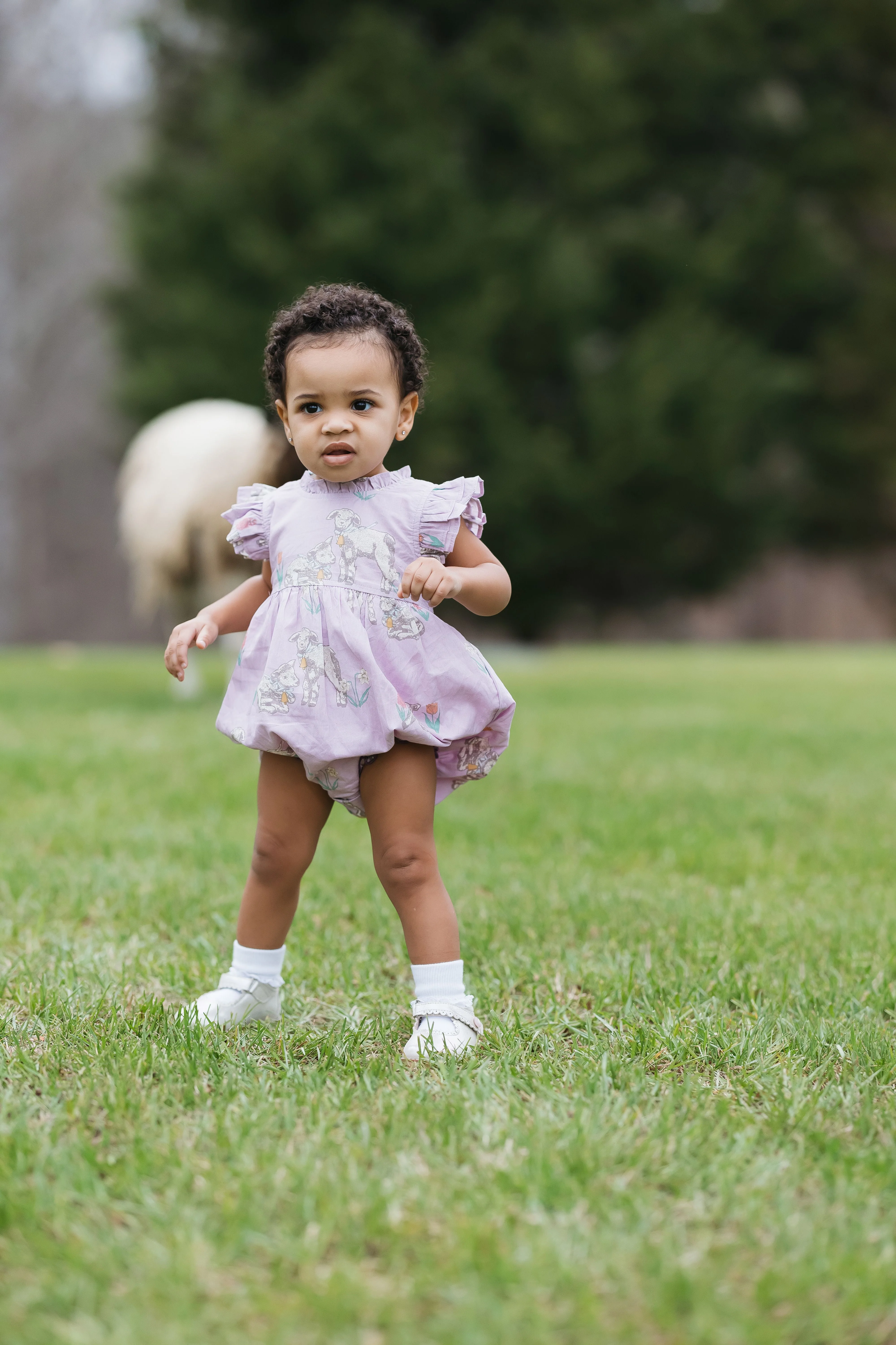 Pink Chicken - Leila Bubble - Lavender Lambs - Image 4
